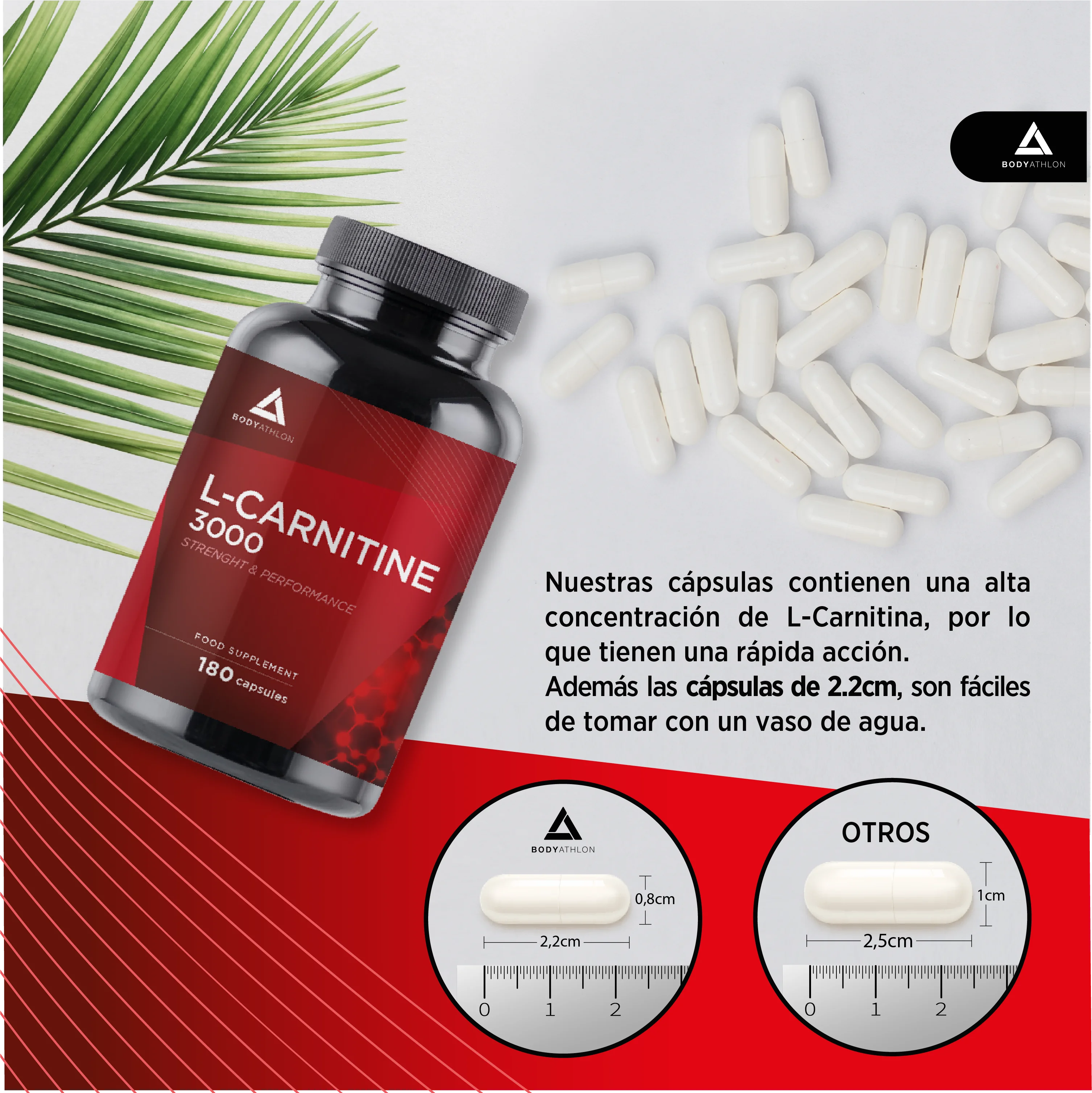 Bodyathlon – l carnitine 3000 capsules – 180 capsules – aum – sports supplement – 750mg per capsule