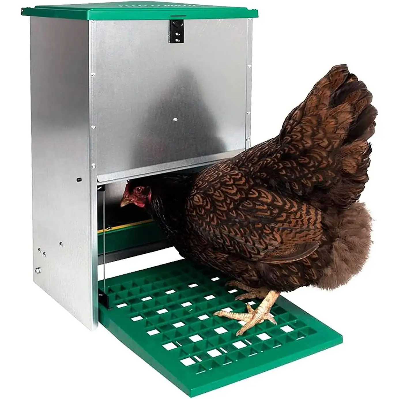 FINCA CASAREJO Comedero Gallinas Antipájaros Automático Tolva Exterior