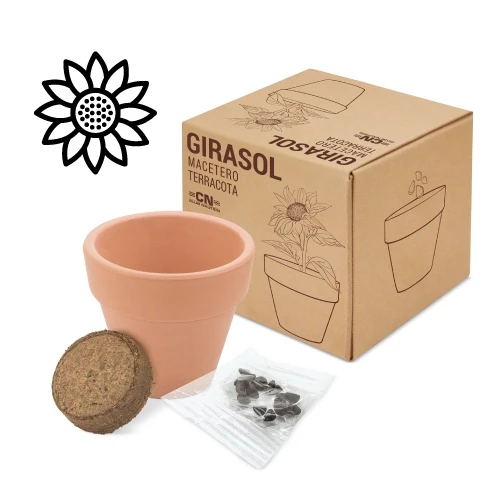Disok Lote 20 Macetas Terracota Semillas Girasol - Regalos Bodas