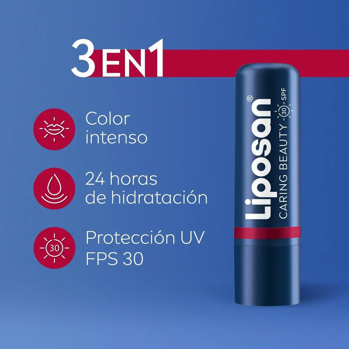 Imagen 5
