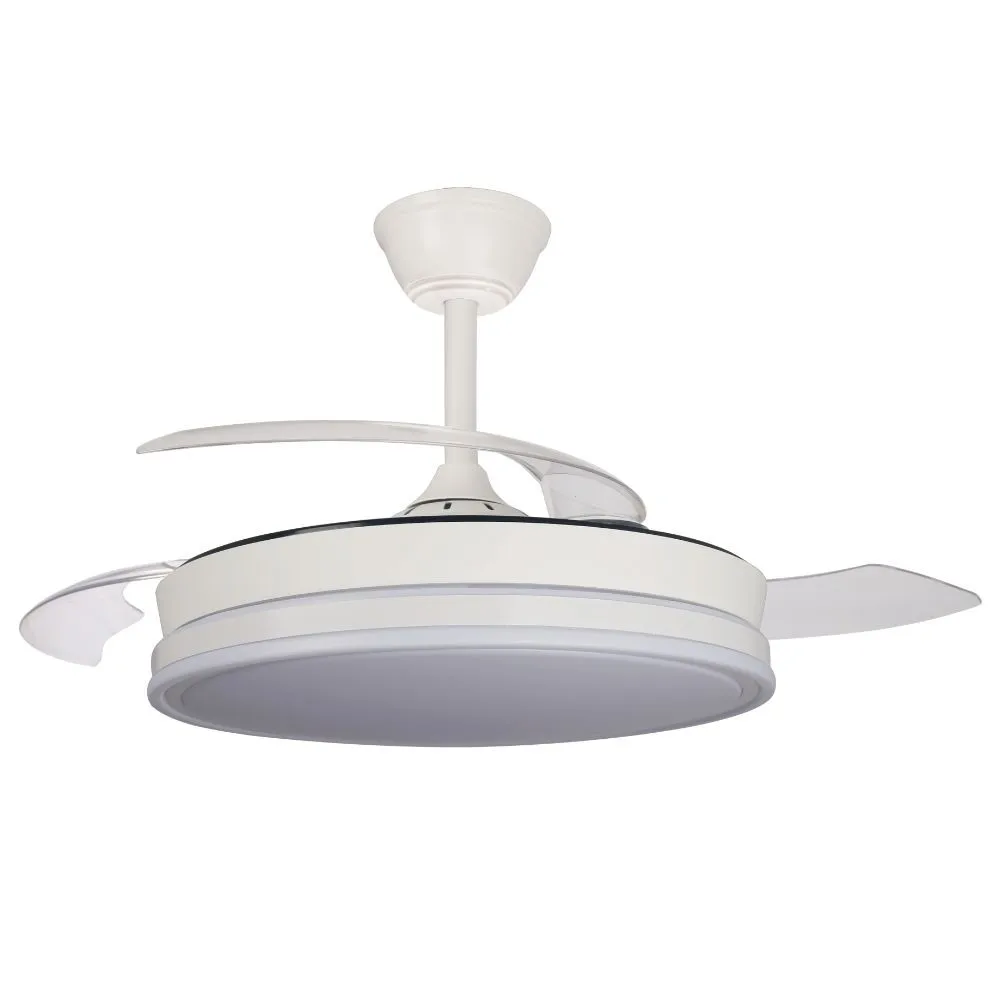 Product Gallery Image 2