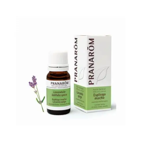 Pranarom Aceite Esencial Espliego Macho 10Ml - Imagen 3