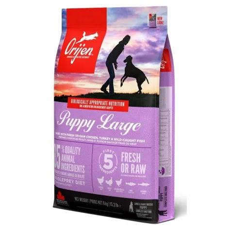 Orijen Pienso Puppy Large para Perros Grandes con Ingredientes Naturales y Alta Calidad de Alimentación