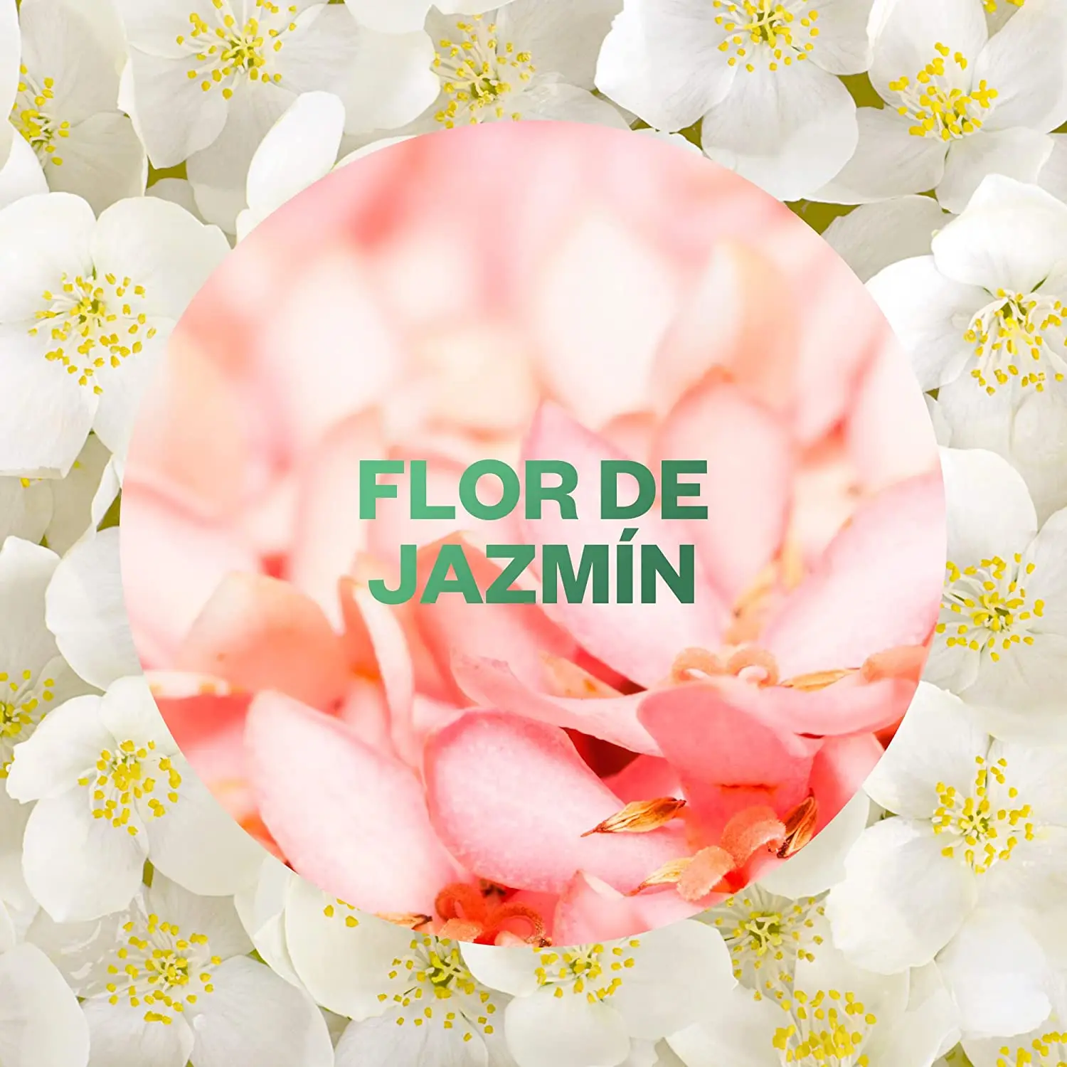 Air Wick Active Fresh Spray Automatic No Aerosol-Jasmine Flower-scented Home Freshener-3 refills #7