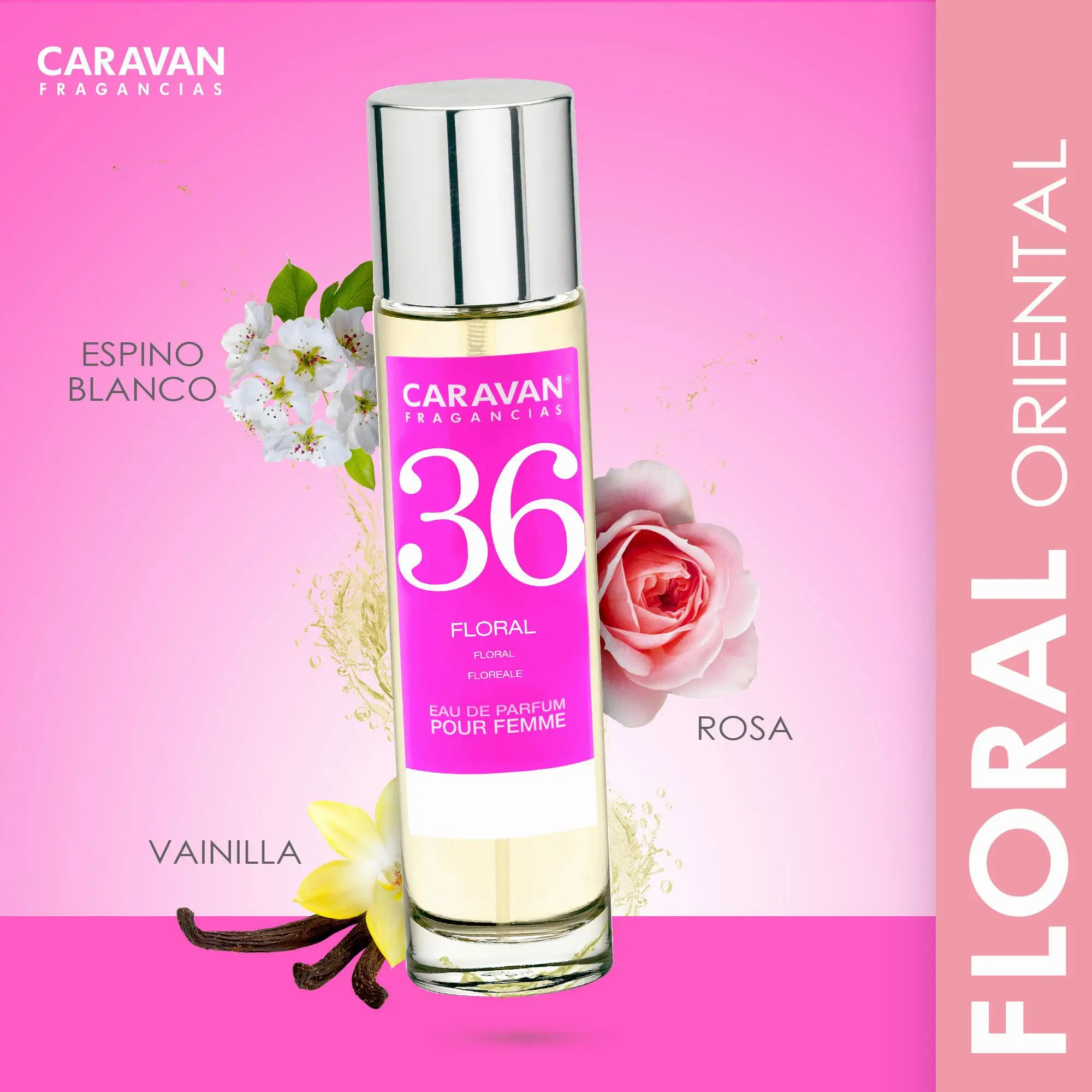 Set of 10 caravan fragrance vials for women - the perfect selection to try, discover and choose your favorite scent - fragrances for 30 days