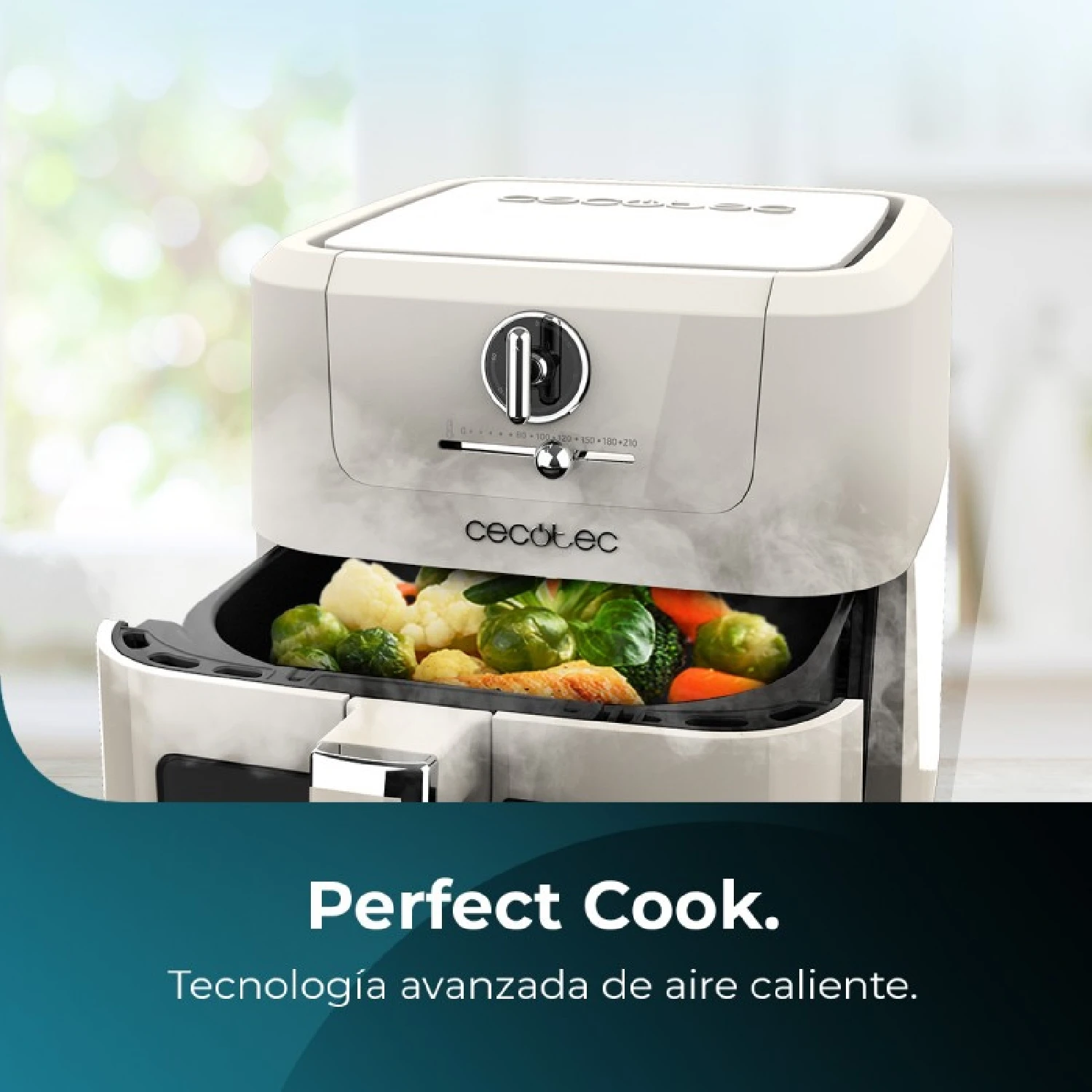 Cecotec oil-free fryer air fryer cecofry antique 5000 window