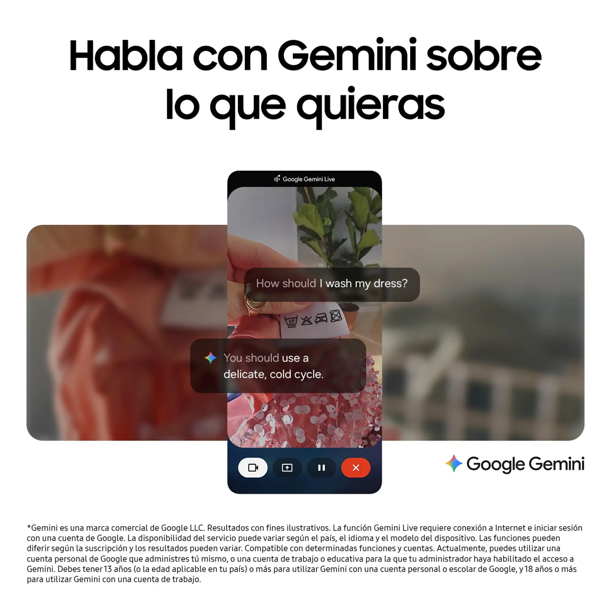 Imagen 7