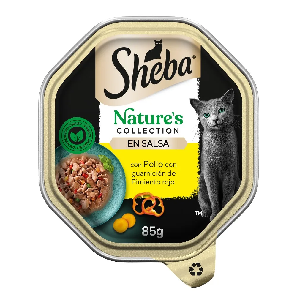 Sheba Nature's Collection - Comida húmeda en salsa para gatos - Pollo con guarnición de pimiento rojo - (PACK 22 x 85gr.) ¡Delicioso y nutritivo alimento para tu gato!