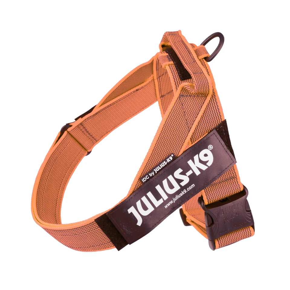 Leash for dogs Julius K9 IDC tape, harness for pets, harnels resistant, ergonomic harness, Platz K9