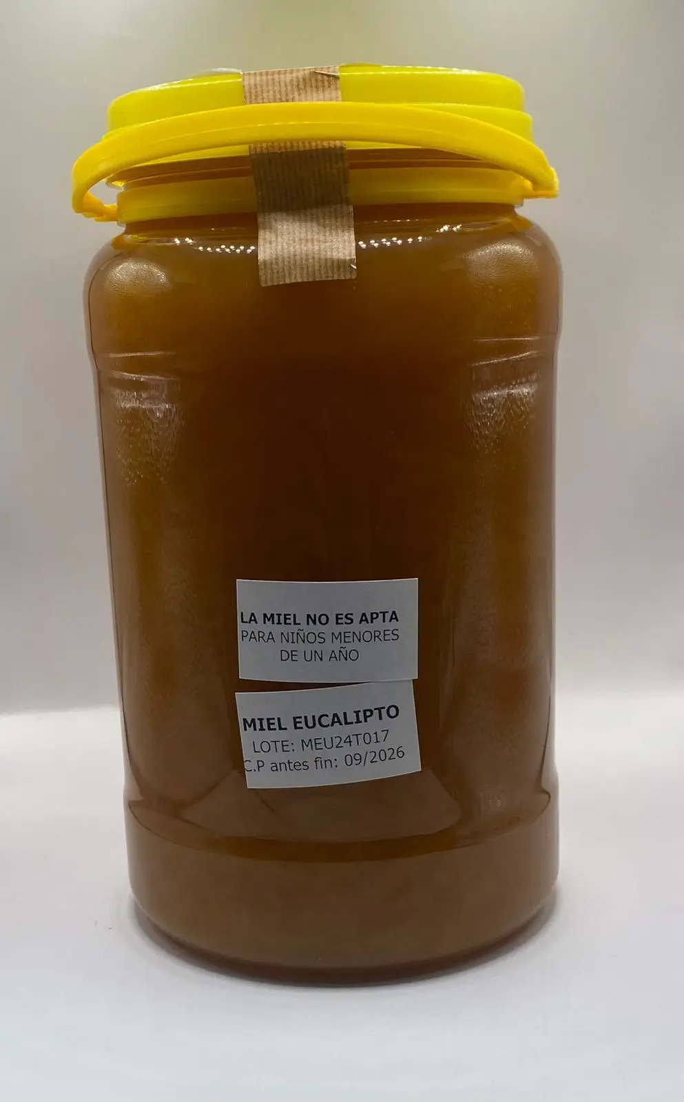 Eucalyptus honey 2 kg from spain from casa miell montsserat valencia. #3
