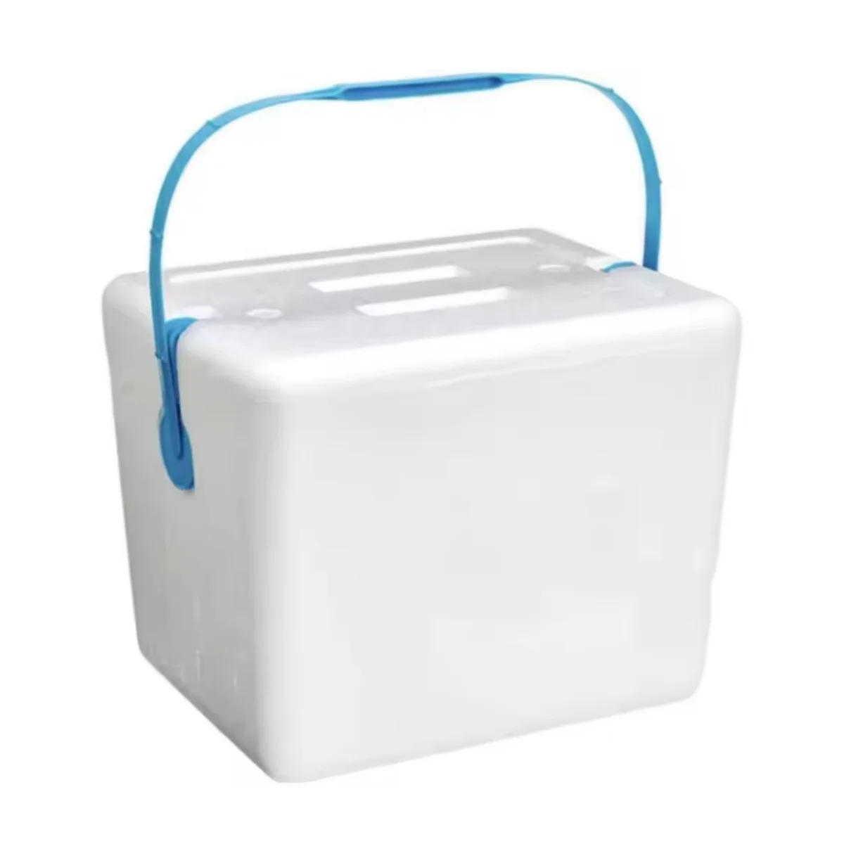 ZYLX SHOPPING – Polarbox con Asa, Nevera Portátil de Porexpán en 5 Tamaños, Ideal para Viajes, Camping o Conservación
