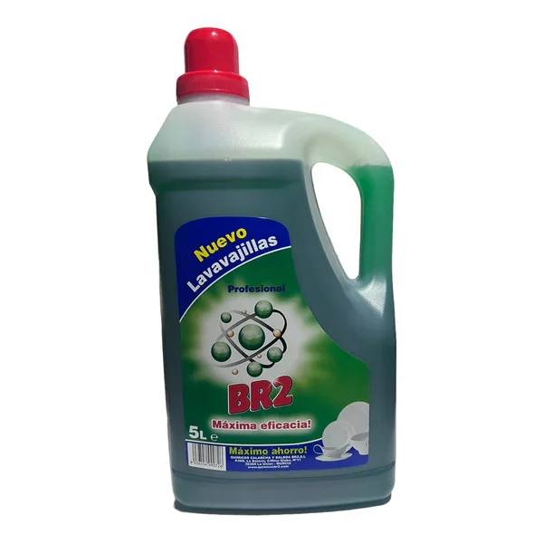 Dishwasher br2 5l maximum efficiency professional format