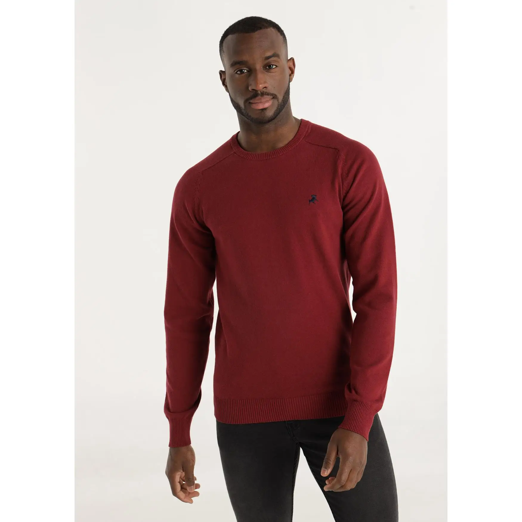 LOIS JEANS - Jersey basico de punto con cuello caja bordado Toro