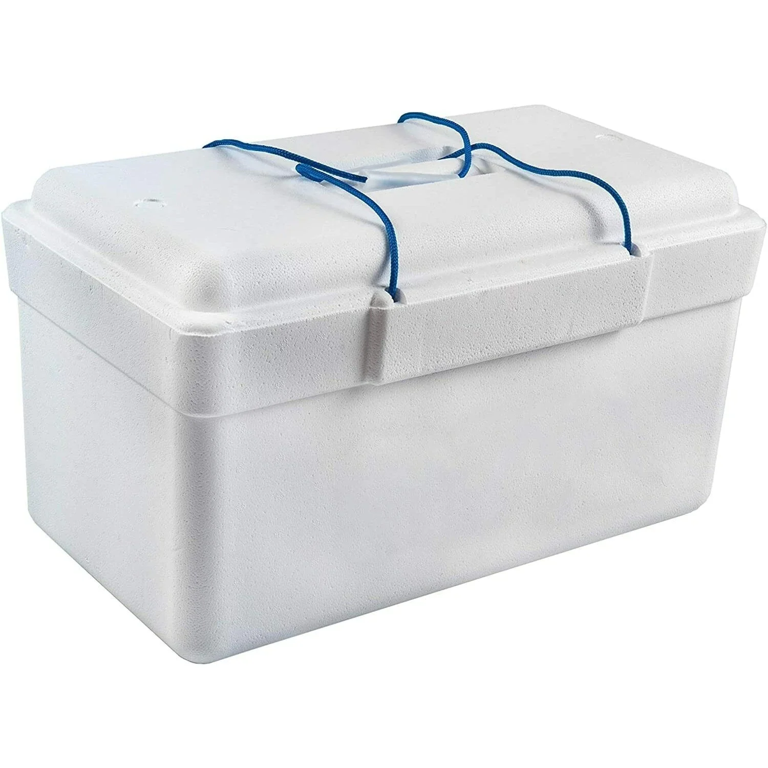 UD - Nevera Portátil de Poliespán Rectangular – Ligera y Aislante | Ideal para Playa, Camping, Fiestas y BBQ