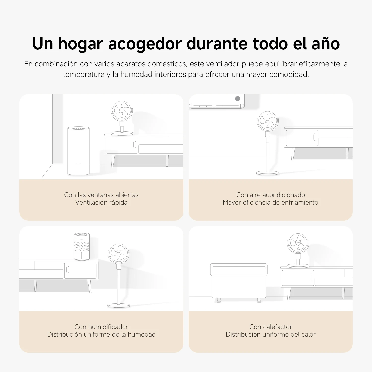 Imagen 8