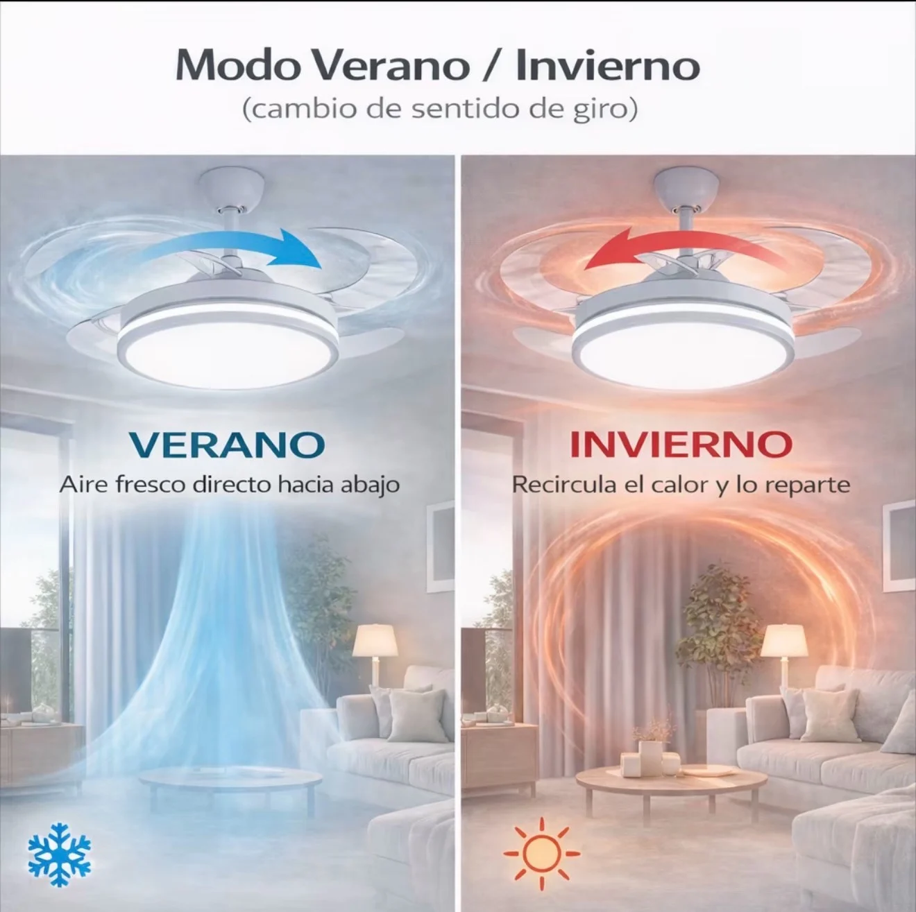 Imagen 6
