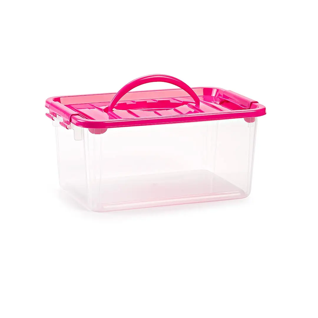 Plastic Forte Caja de Almacenaje 3,5 Litros Transparente Caja de ordenación de plástico, Contenedor de almacenamiento