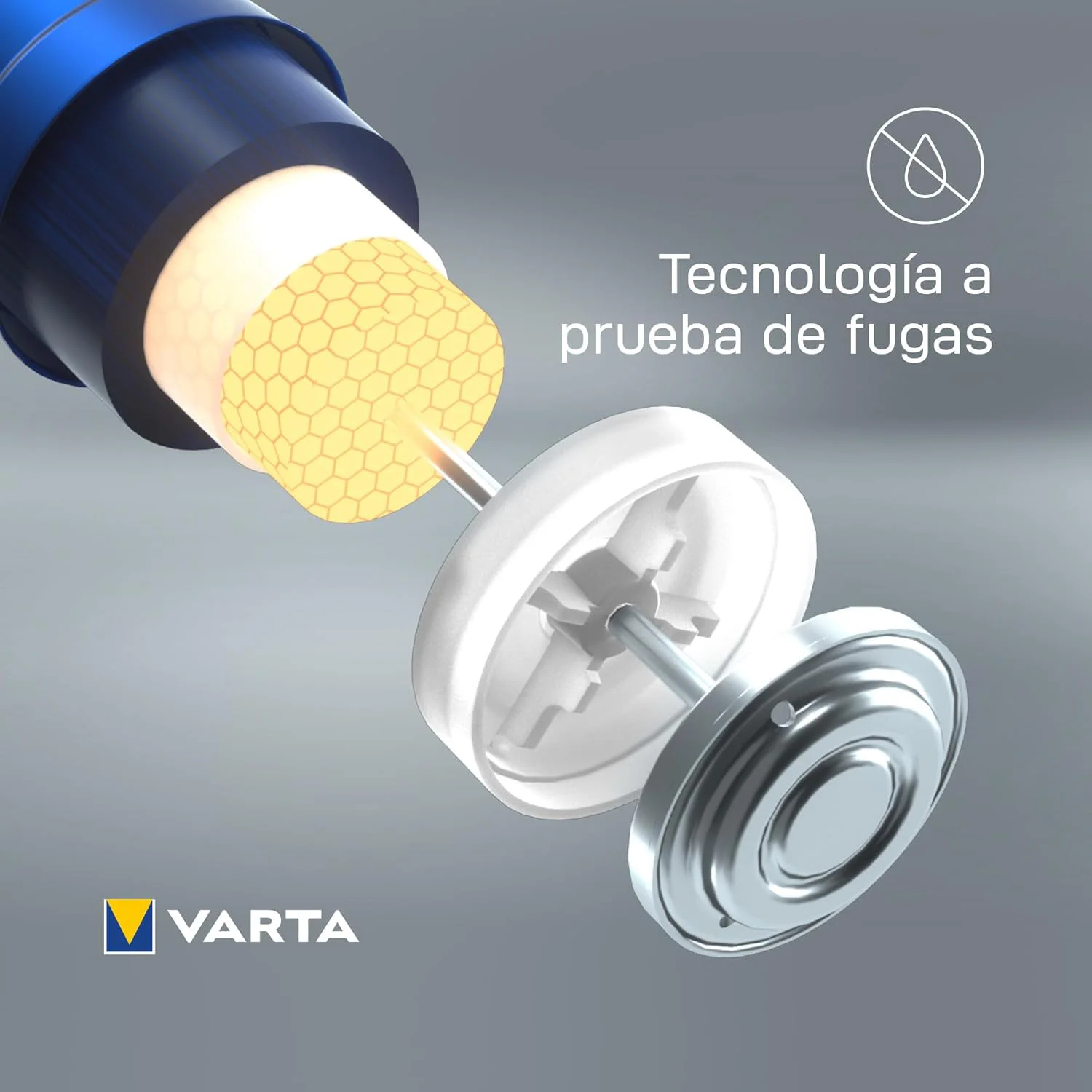 Imagen 2