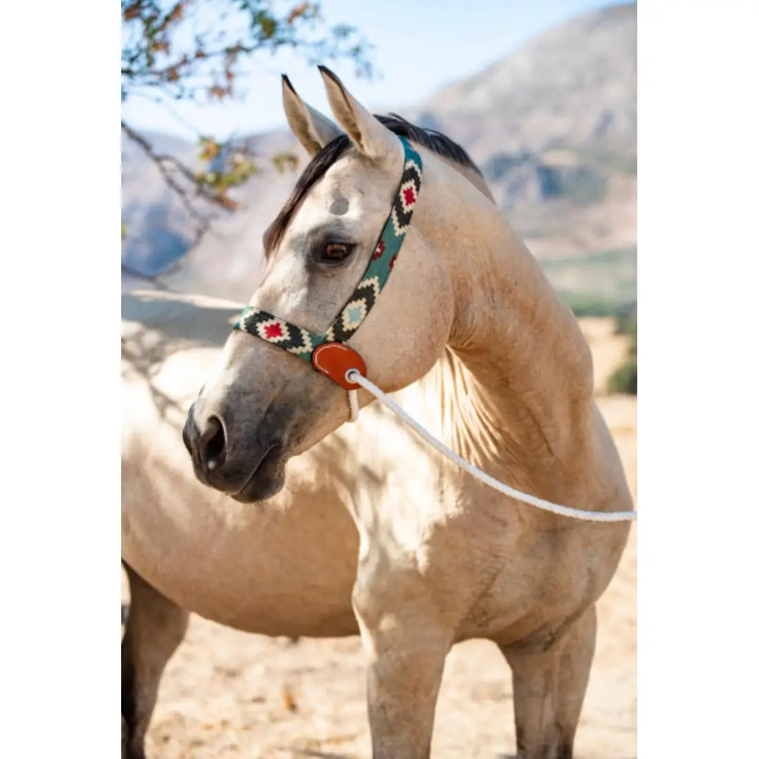 Jáquima étnica Córdoba – cabezal artesanal para caballo con cinta nailon ,ramal (2 m), bolsa de transporte