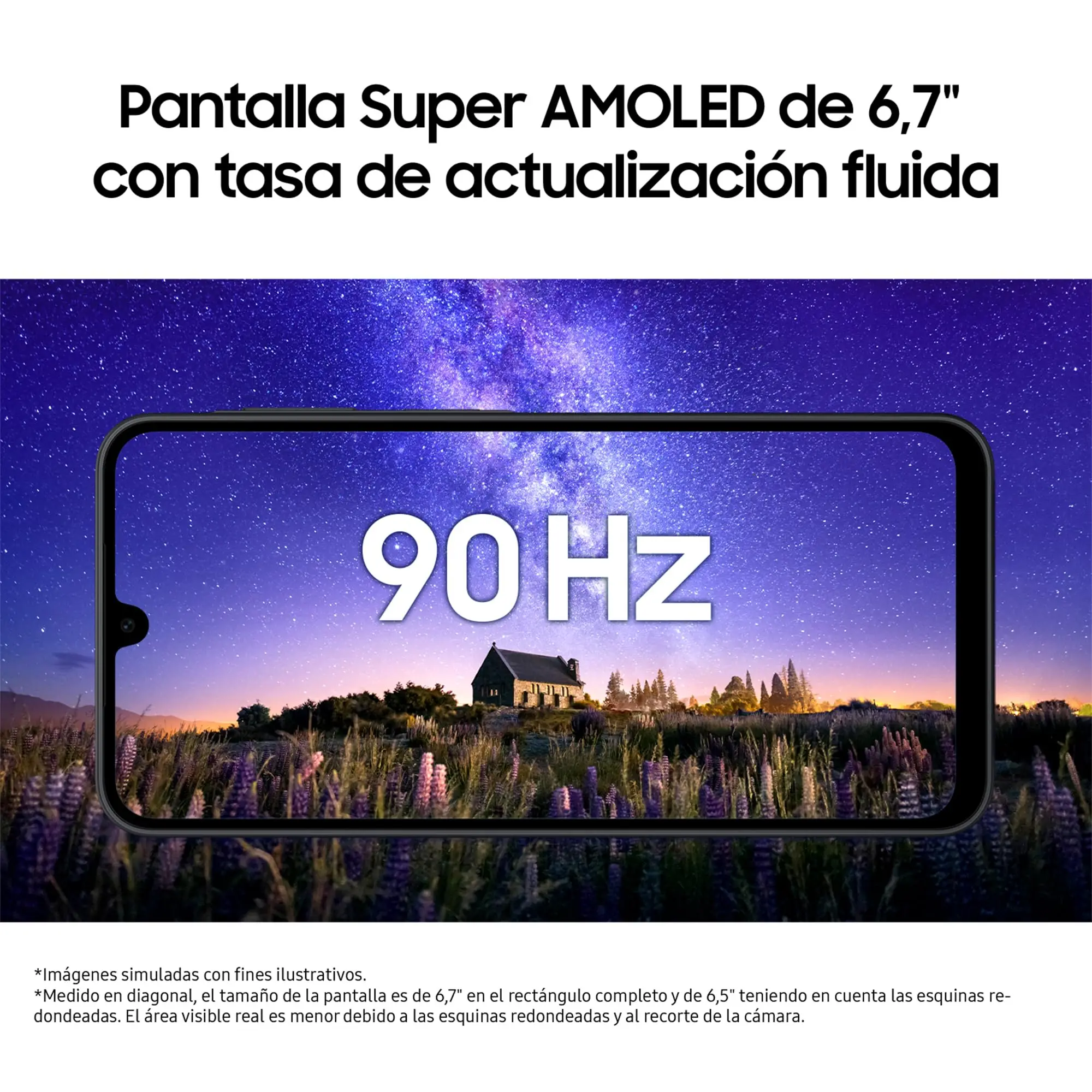 Imagen 6