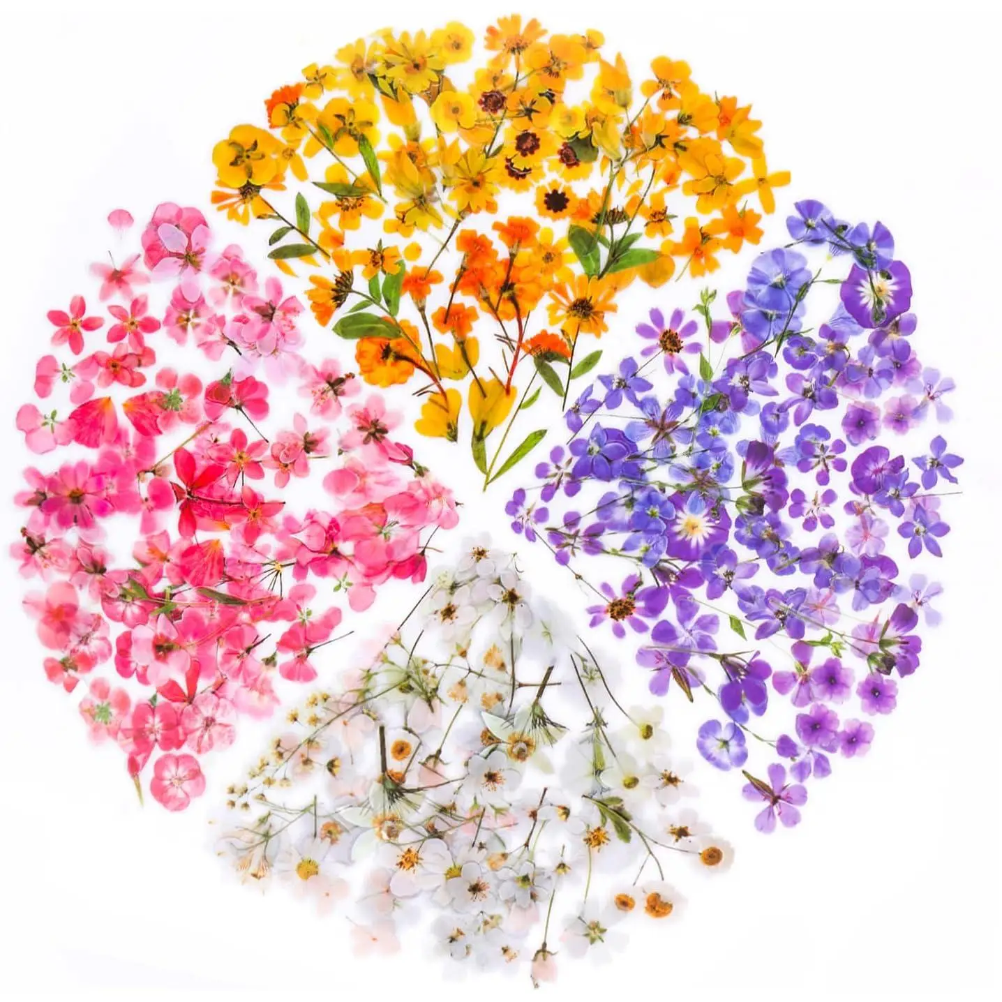 Set di 160 Adesivi Decorativi Trasparenti con Fiori e Piante – Adesivi Creativi per Collage, Scrapbooking, Quaderni, Bottiglie di Vetro e Progetti Fai-da-Te – Grande Capacità di Fiocchi Decorativi