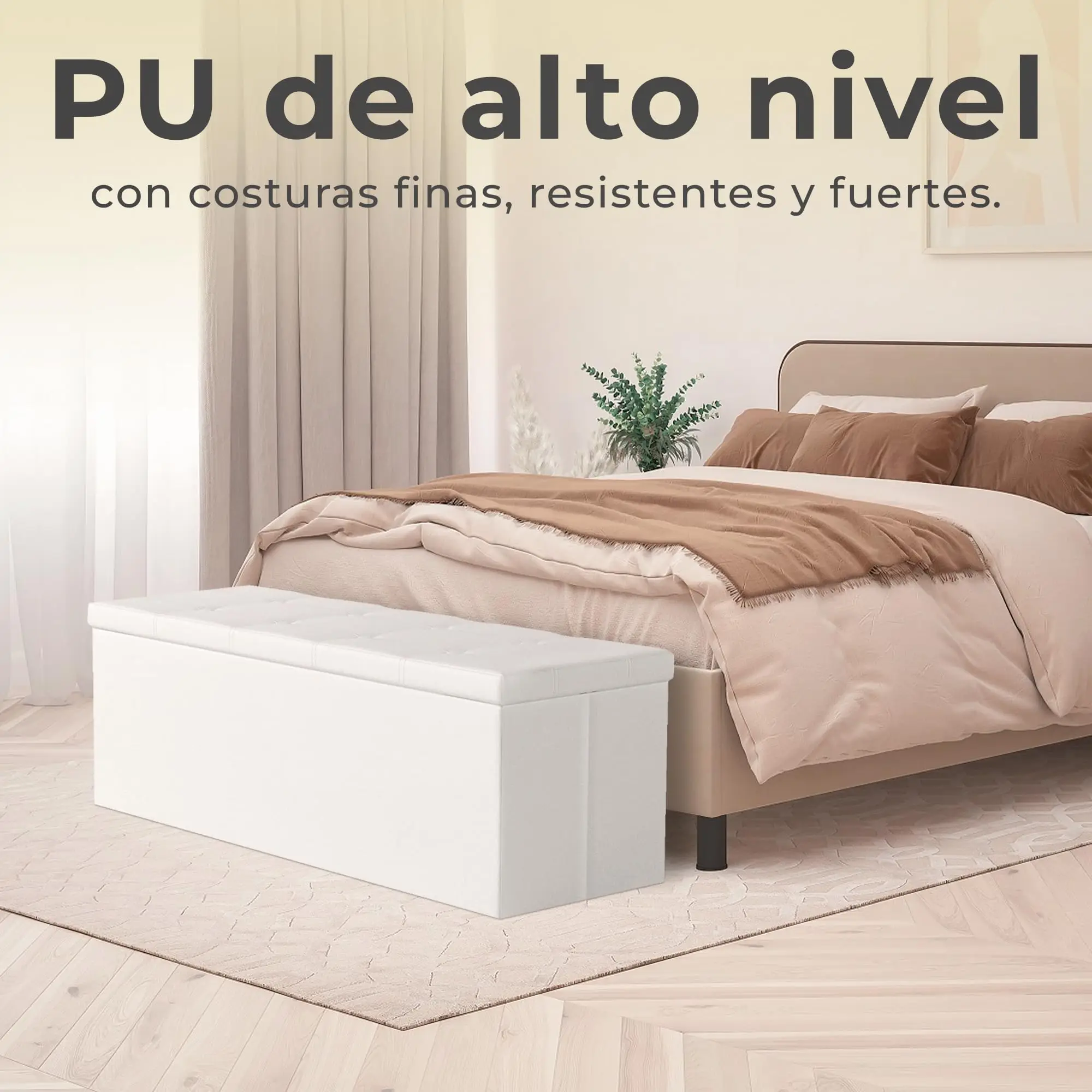 Imagen 6