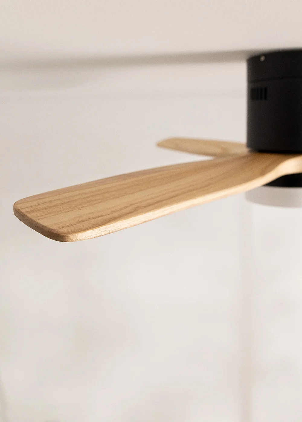 Create - 40W Silent Ceiling Fan Ø132 cm - 6 Speeds, Summer/Winter Function - Black Motor - Wind Calm