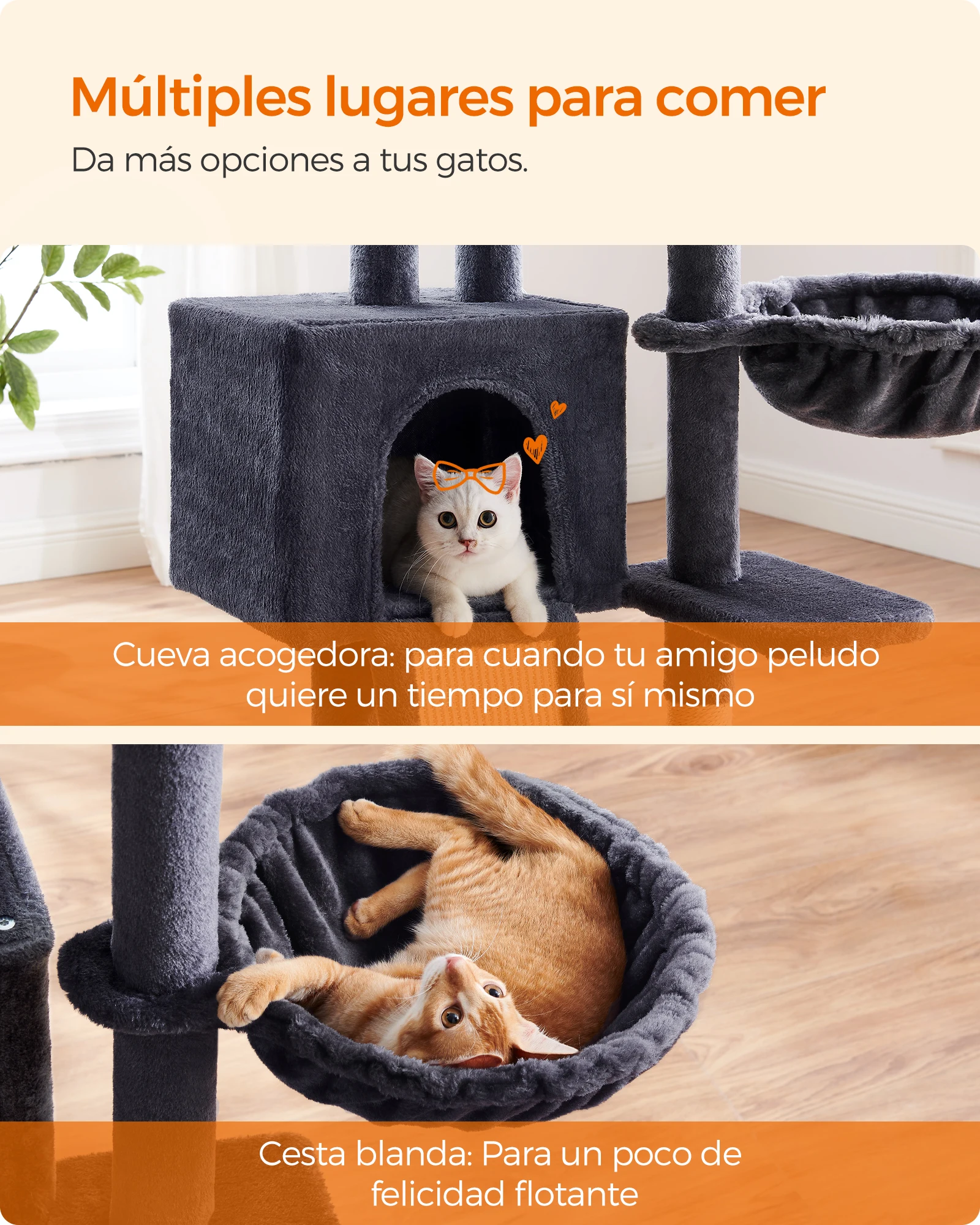 Imagen 7