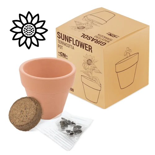 Disok Lote de 20 Macetas Terracota con Semillas PETUNIA - Regalos para Fiestas