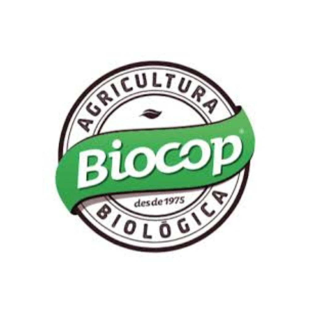 Brown whole cane sugar 1kg | Mild flavor | With molasses | Vegan | Biocop #2