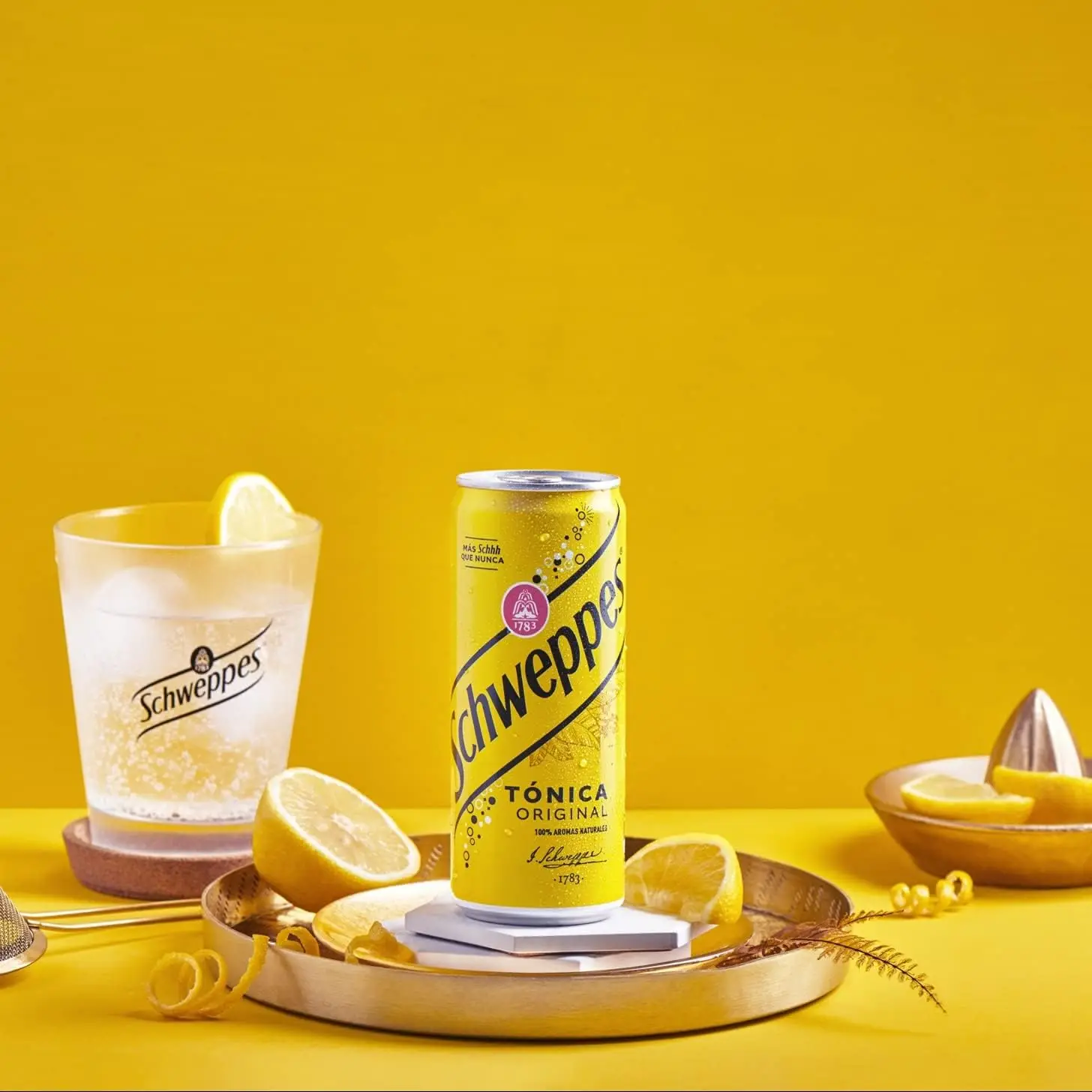 Schweppes Tonic, Can 33 Cl*24