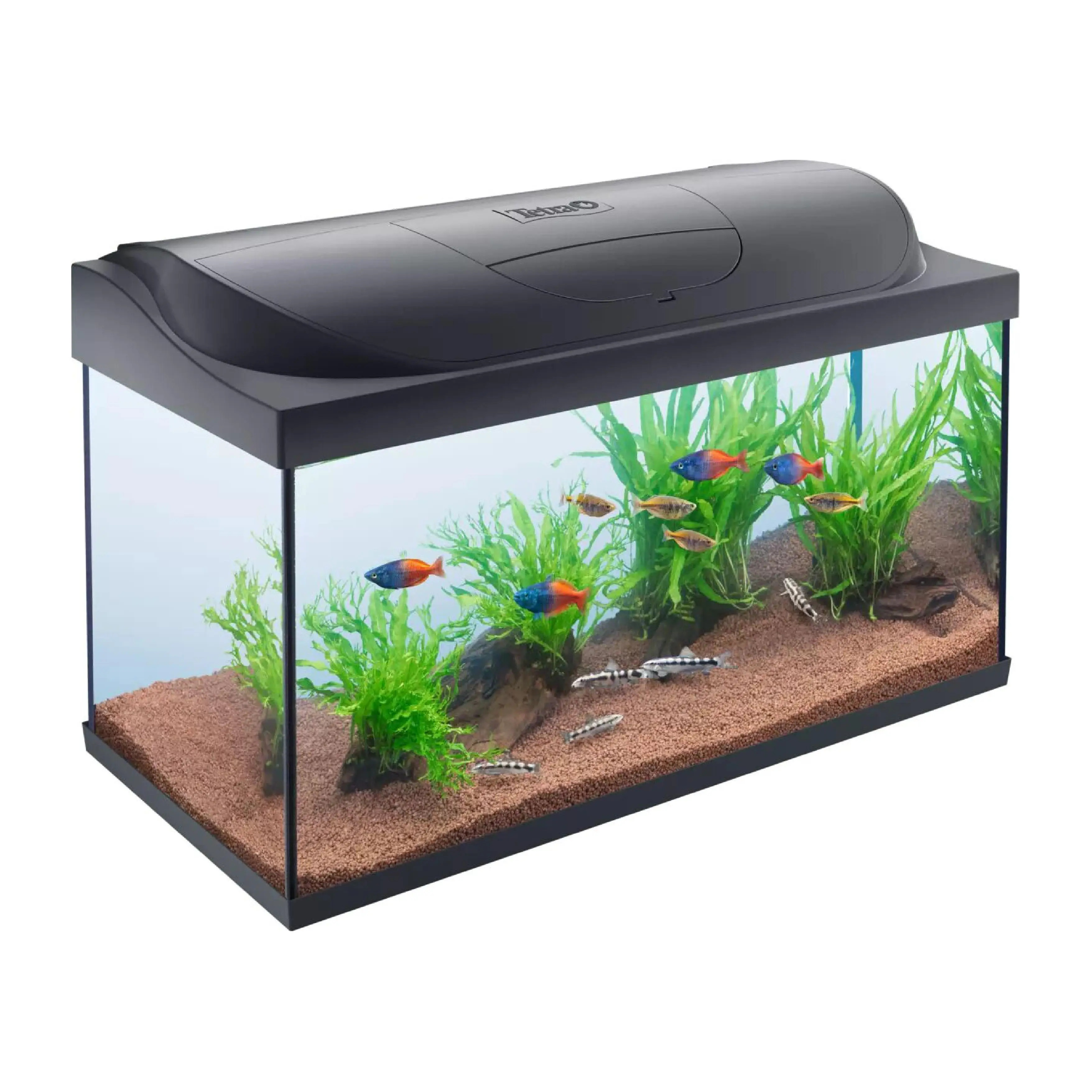 Tetra Starter Line LED 105L aquarium big start LED daylight/night mode