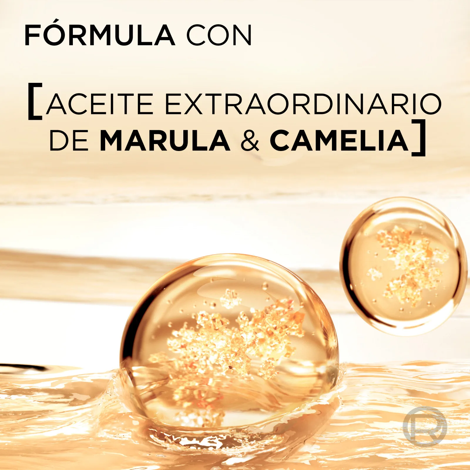 Imagen 8