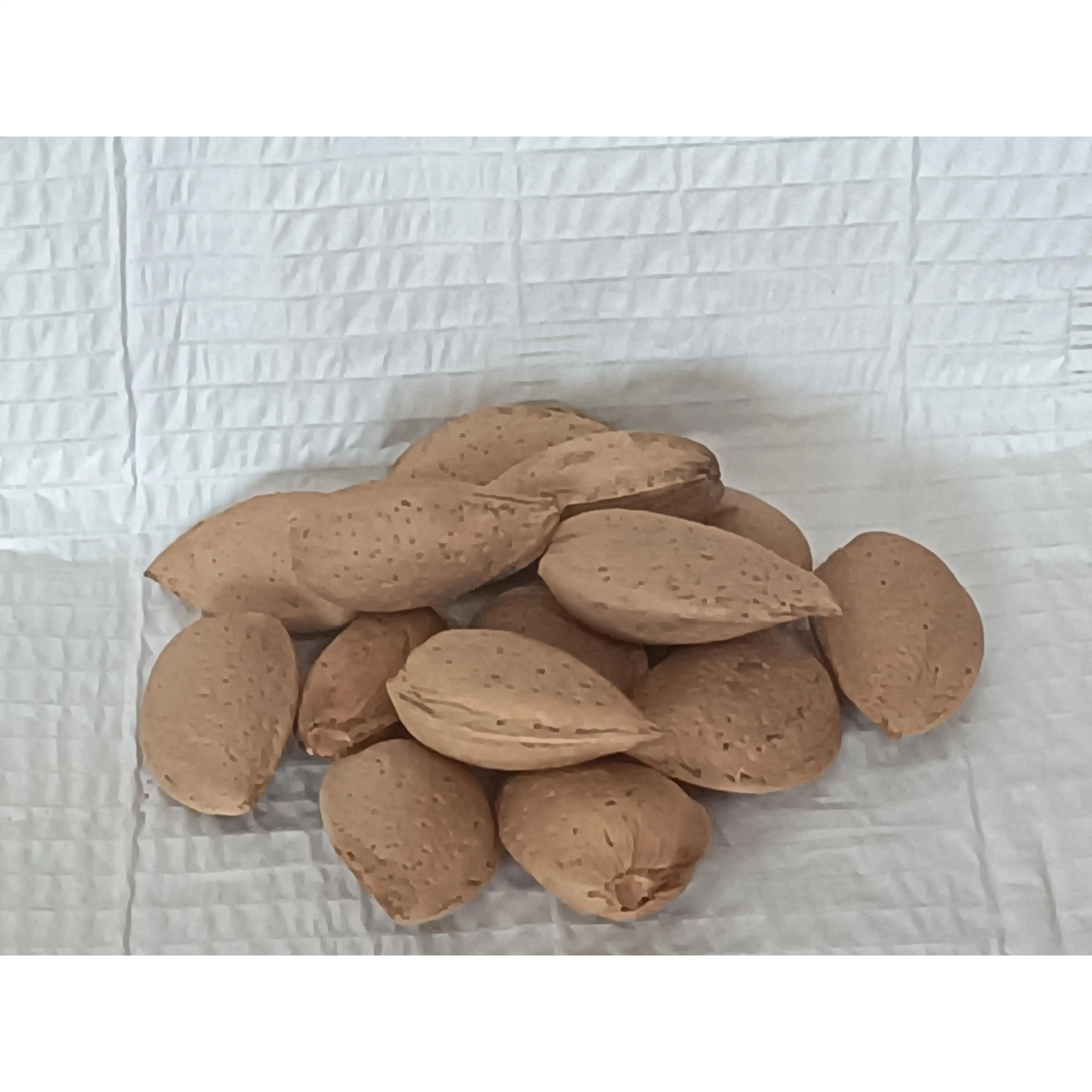VILLAVEZA Almendra Natural con Cáscara, producida en nuestra explotación en Toro (Zamora), secado al aire.