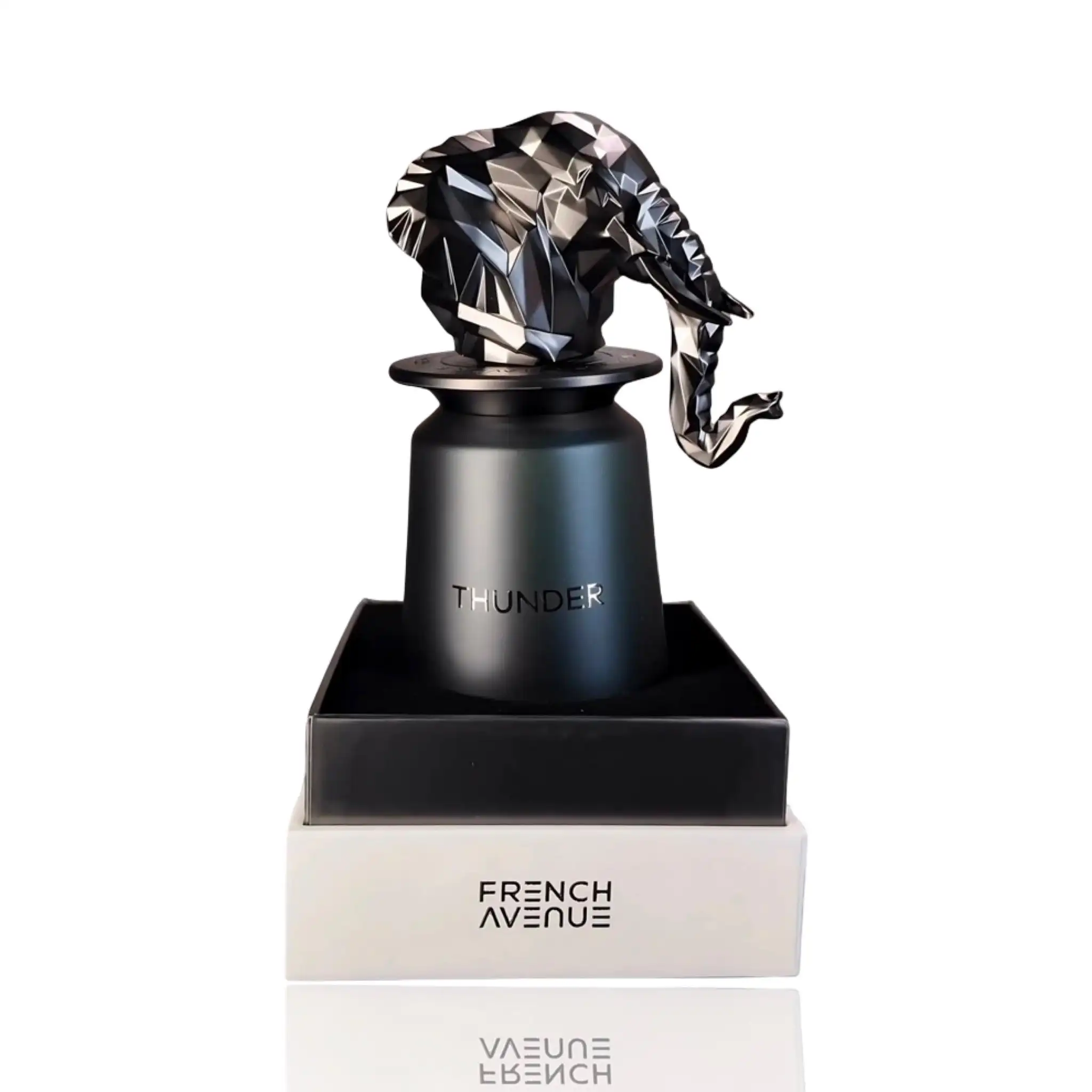 Thunder Extrait de French Avenue Eau de Parfum para Hombre 100 ml | Perfume Amaderado, Aromático y Especiado de Alta Gama