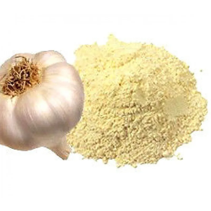 Carmencite garlic powder 625grs