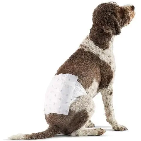 AmazonBasics disposable dog diapers for male, size L and size XS (pack of 50), White