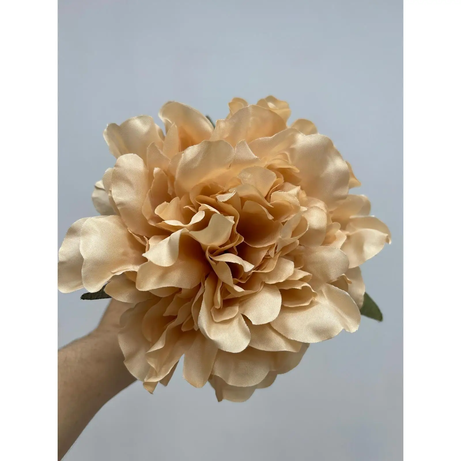 Flor Peonia De Color  Melocoton Suave Para Cabello De Flamenca te Dara Estilo , Elegancia y Tradicion