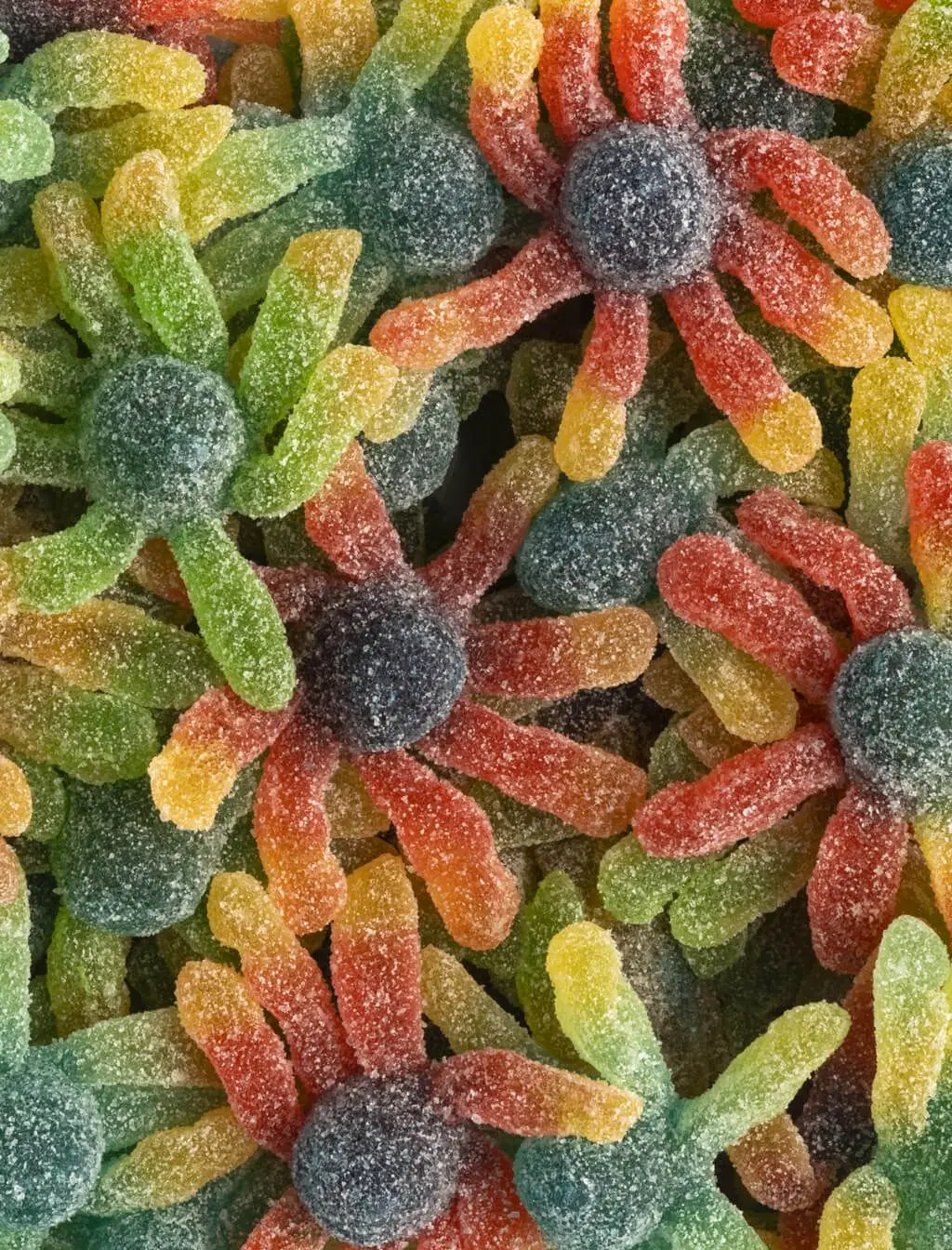 Vidal treats. Octops pica. 1kg bag