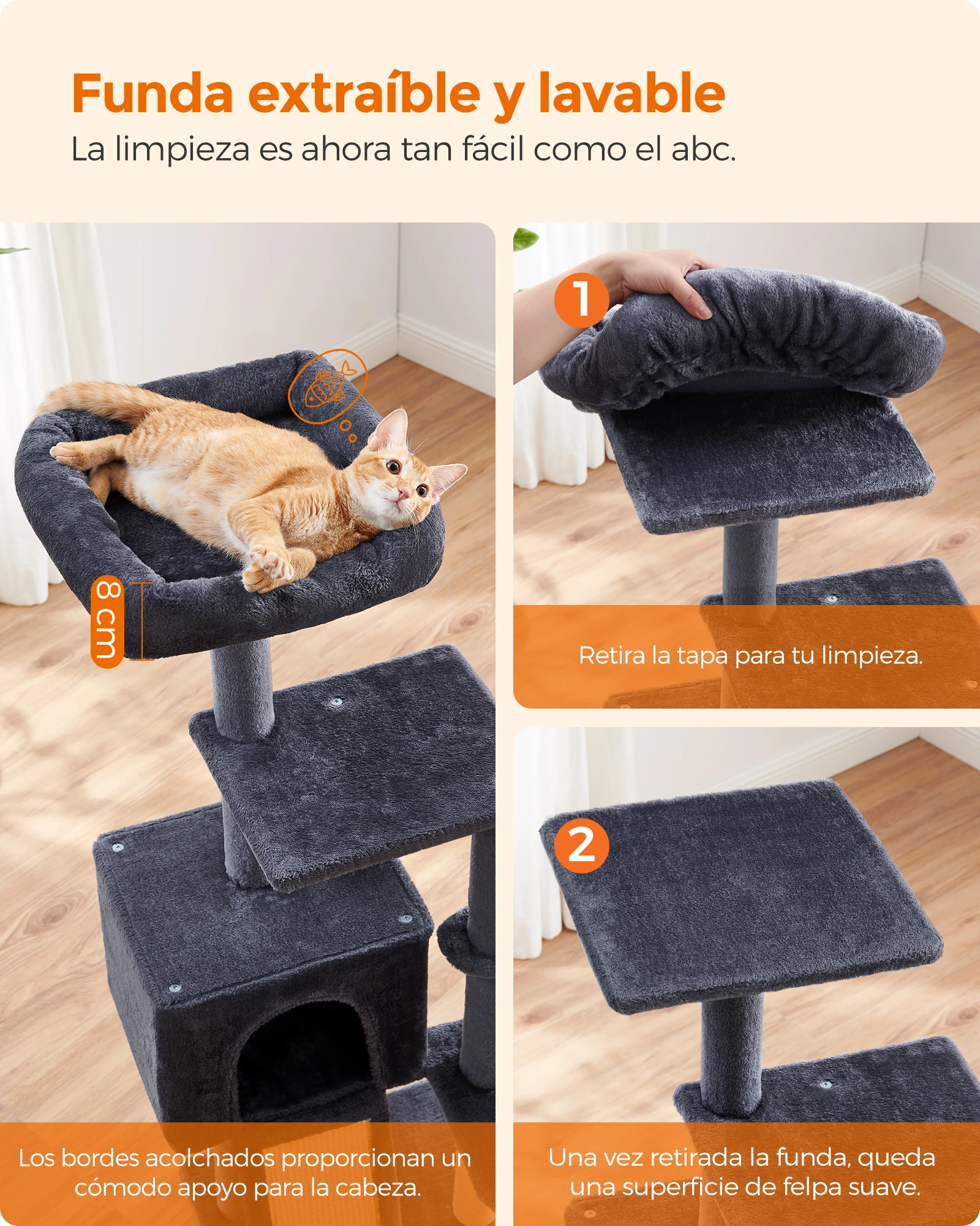 Imagen 5
