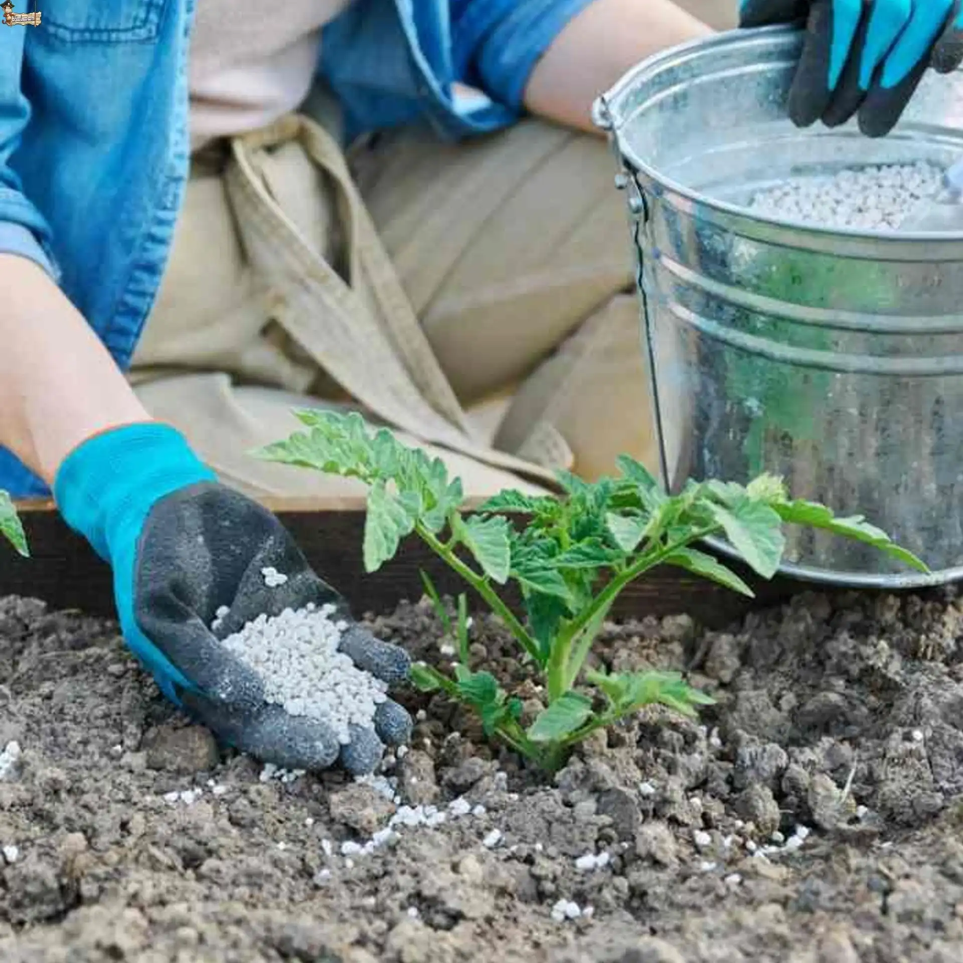 Npk complex fertilizer 15-15-15 bricoloco.com