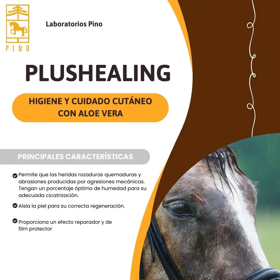 PLUSHEALING for chafing and abrasions in pine lab horses. 500ml container