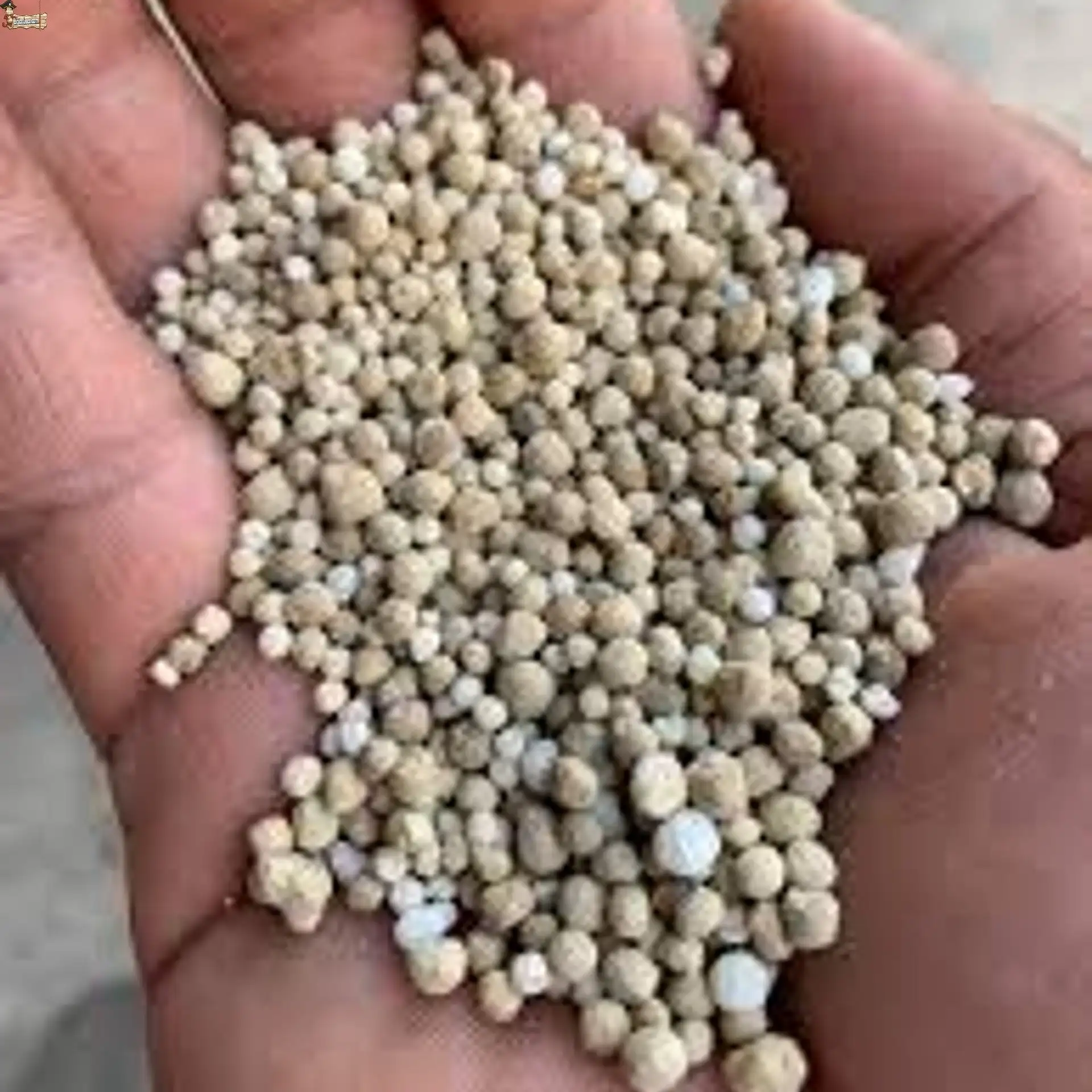 Npk complex fertilizer 15-15-15 bricoloco.com