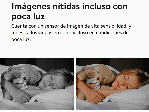 Imagen 7