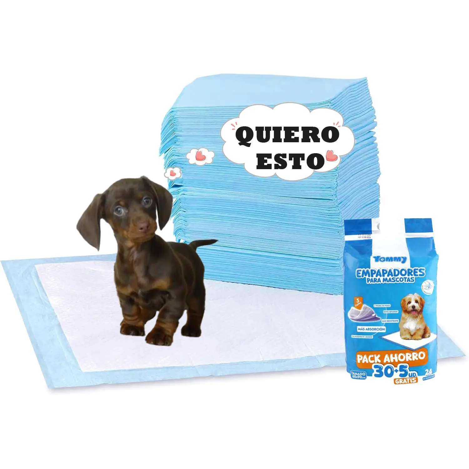 UD - Empapadores para Perros y Gatos Yommy - 8/46/92/138/184 uds - 40x50, 60x60, 60x90cm | Súper Absorbentes, Antibacterianos, Reutilizables