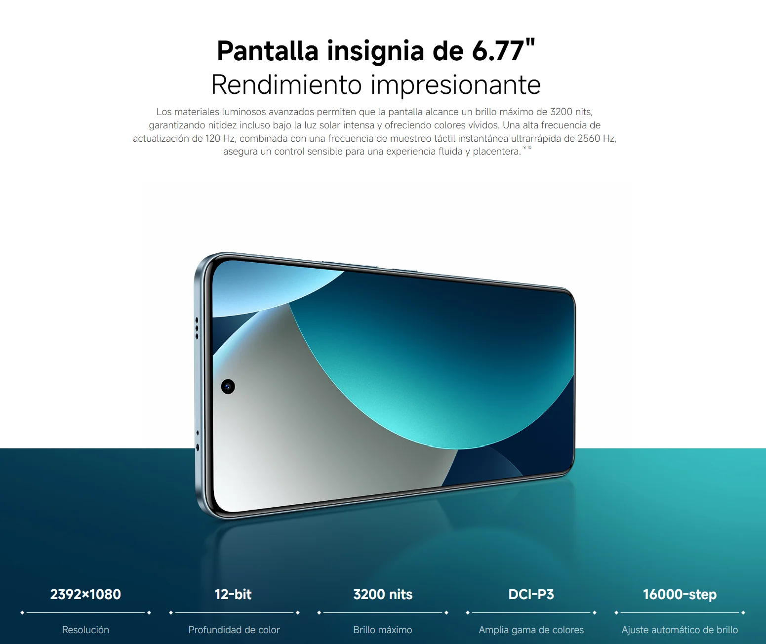 Imagen 8