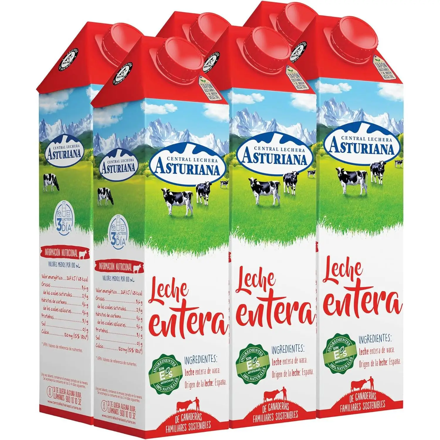 Central Lechera Asturiana Leche Entera, 6 x 1 L