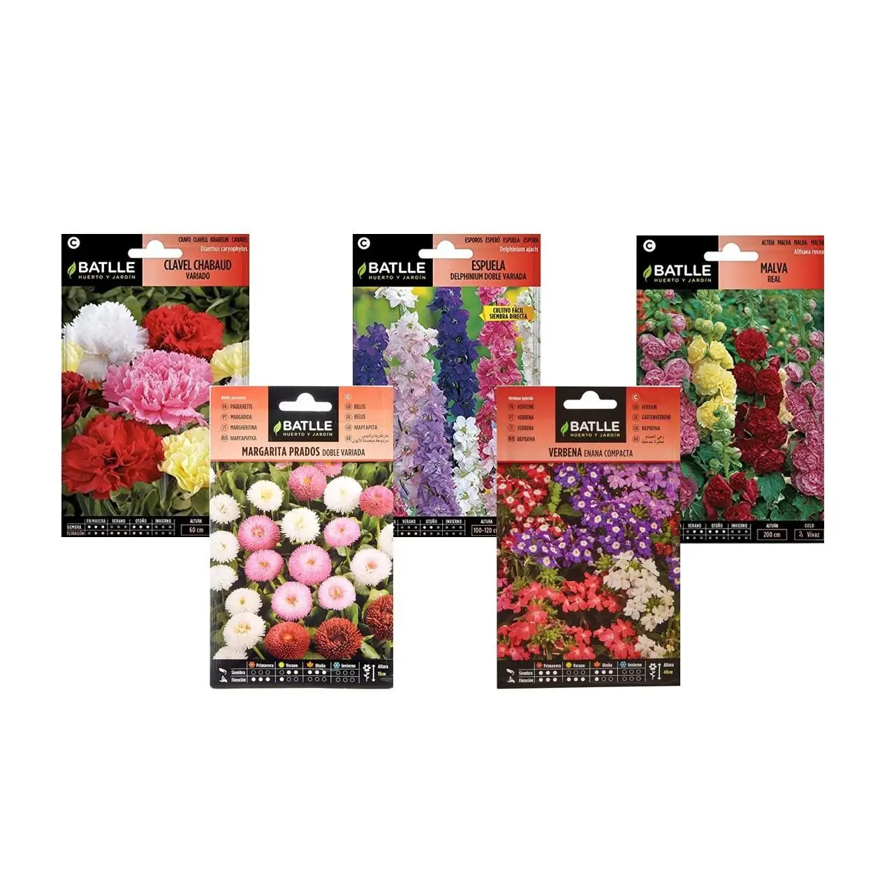 Lote de 5 Sobres de Semillas variadas (Clavel, Espuela. Malva Real, Margarita Prados y Verbena) de Semillas Batlle.