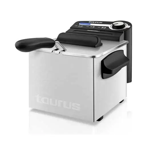 Taurus Professional 2 Plus 2L Le meilleur friteuse 2 litres pour une cuisine professionnelle à domicile