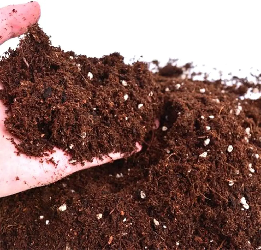 Flower Earth professional substrate for Cactus and bonsai 5L